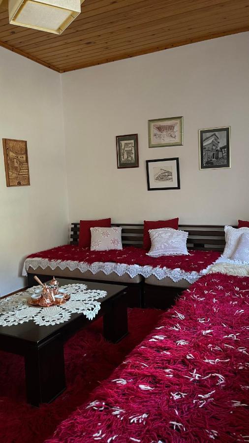 Ana Rest House Hostel Berat Dış mekan fotoğraf
